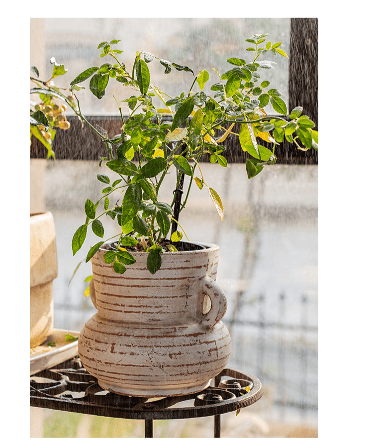 Weathered Terracotta Handled Planter & Vase